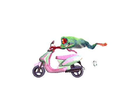 Moped, Frog, Animal, Scooter, Motorcycle