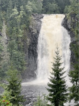 Waterfall, Nature, Forest, Trees, River