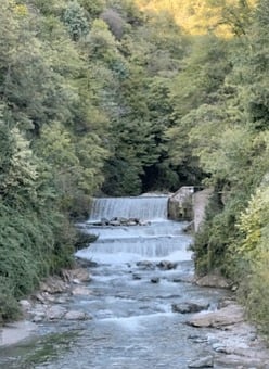 Waterfall, Forest, Greenery, Nature