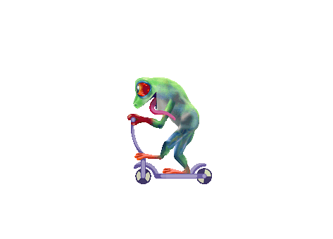 Frog, Fun, Comedy, Scooter, Scoot, Ride