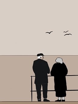 Seagull, Bird, Old Couple, Love, Old Age