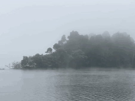 Fog, Mist, Island, Water, Trees, Nature