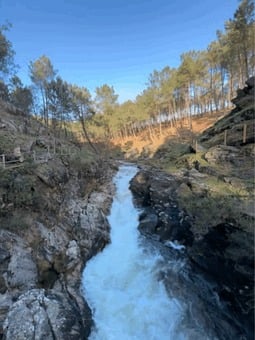 Rapids, Gorge, River, Rocks, Forest