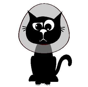 Cat, Kitten, Black Cats, Pet, Animal