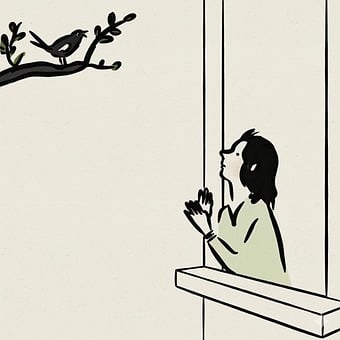 Branch, Bird, Window, Reach Out, Hand