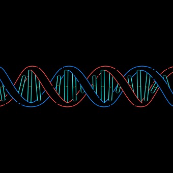 Dna, Spiral, Science, Biology, Helix
