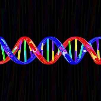 Dna, Spiral, Science, Biology, Helix