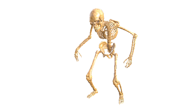 Skeleton, Standing, Idle, Gif, Skull, Halloween, Bones, Dead