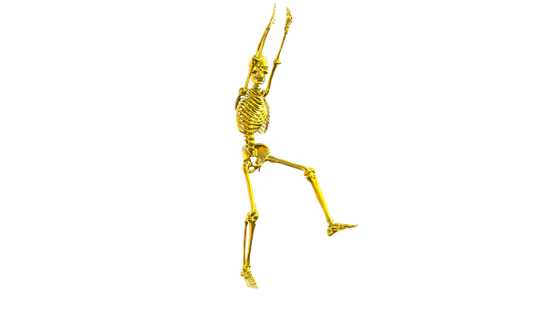 Skeleton, Jazzercise, Dance, Exercise