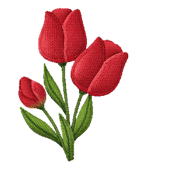 Tulpen, Natürlich, Blumen, Blüte, Flora