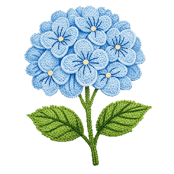 Hydrangea, Flower, Natural, Garden