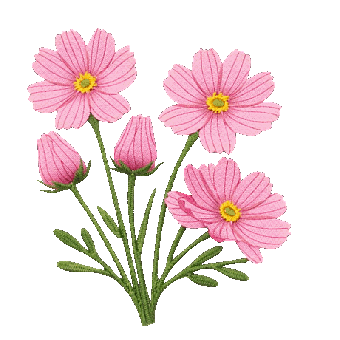 Blume, Natürlich, Blumen, Blühen, Blüte