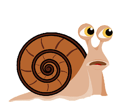 Snail, Mollusk, Shell, Land Snail