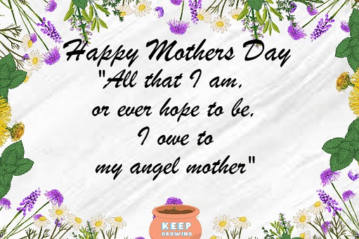 Mamma, Mor, Kjærlighet, Natur, Blomst