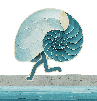 Shell, Nautilus, Seashells, Beach, Sea, Shellfish, Spiral