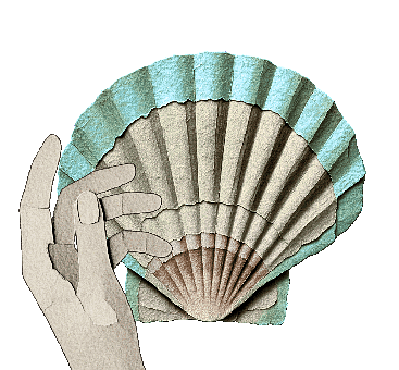 Shell, Scallop, St Jacob Shell