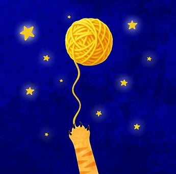Cat, Paw, Feline, Kitten, Wool, Yarn