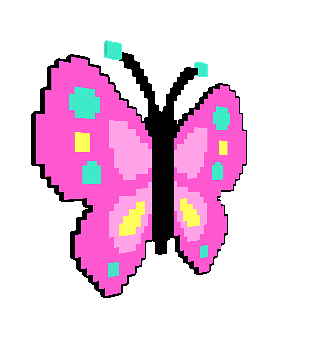 Butterfly, Insect, Lepidoptera, Wings