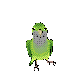Dancing, Bird, Cute, Happy