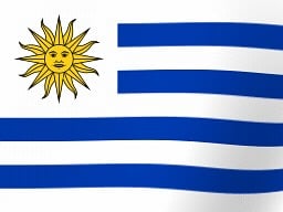 Vlag Van Uruguay, Uruguayaanse Vlag