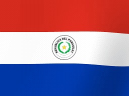 Vlag Van Paraguay, Paraguayaanse Vlag