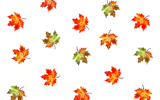 Leaves, Autumn, Fall, Loop