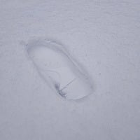 Snow Step Steps in Snow | Royalty-free Music - Pixabay