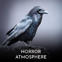 Horror Atmosphere Music | Royalty-free Music - Pixabay