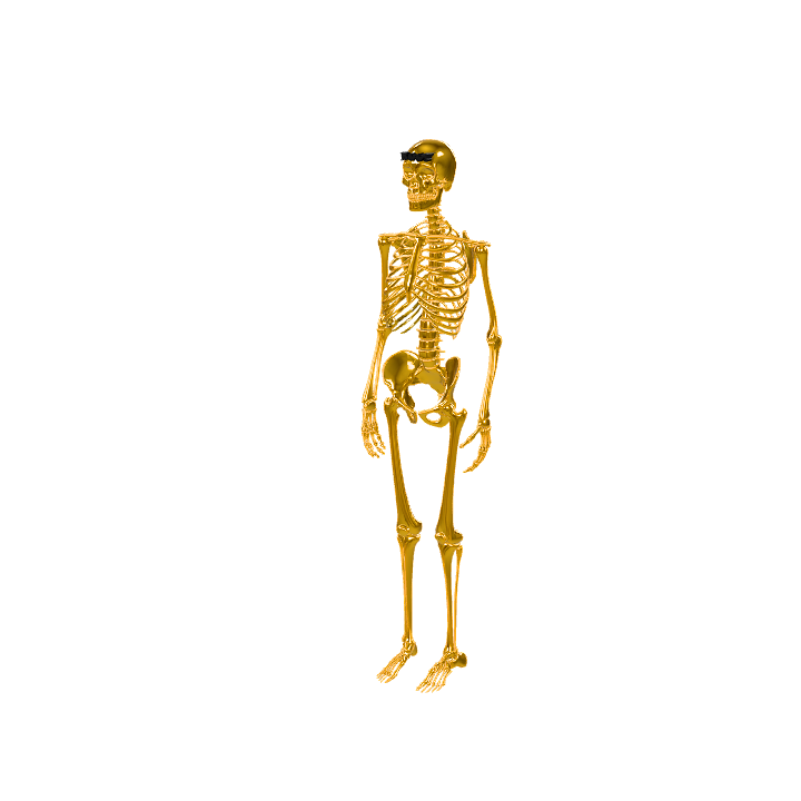 3 Free Anatomy Spooky 3D Models Pixabay 3-free-anatomy-spooky-3d-models-pixabay