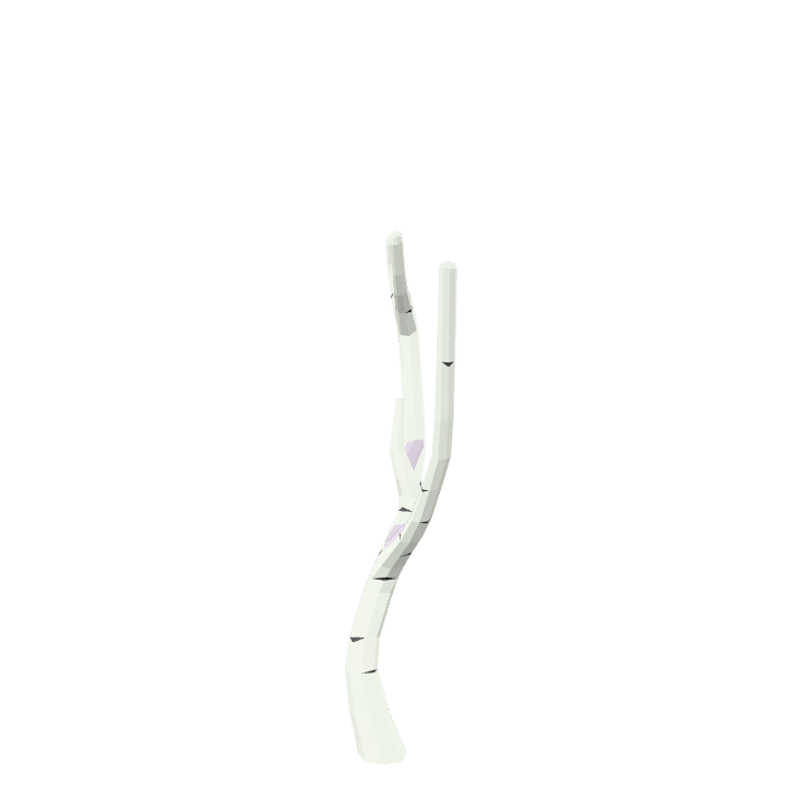 Birch-Tree, Dead, Snow, Tree, Plant