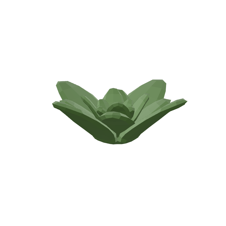 Floare De Cactus, Cactus, Floare