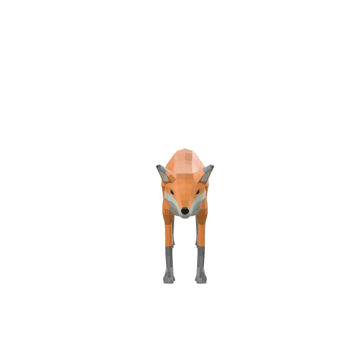 Fuchs, Tier, Rot, Orange, Wild
