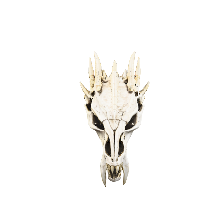 Skull, Creature, Fantasy, Ai Generated