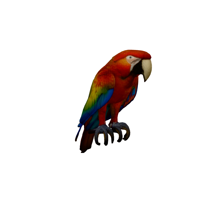 beo bird - free 3d print model - makerworld Images... Burung Beo Tropis - Model 3D Gratis di Pixabay