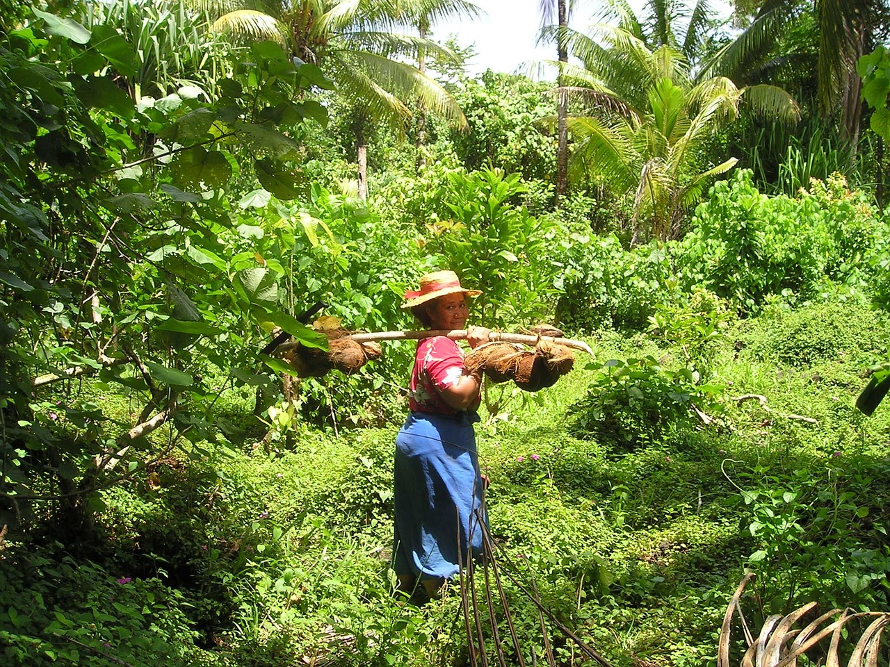 100+ Free Samoa & American Samoa Images - Pixabay