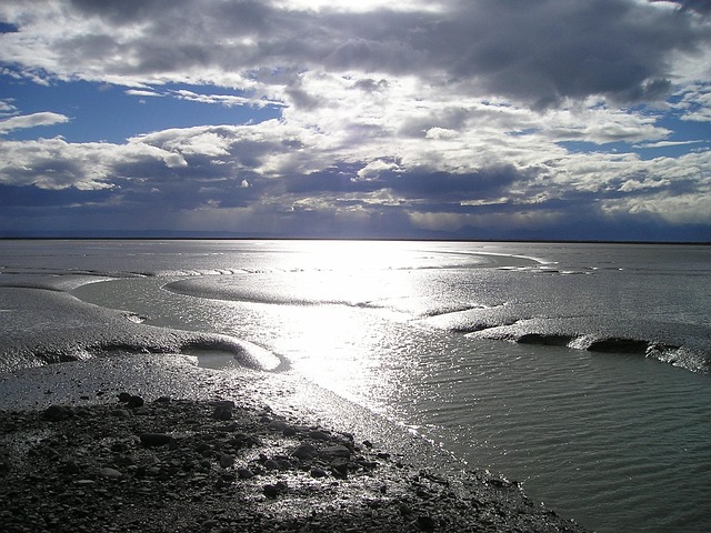 new zealand