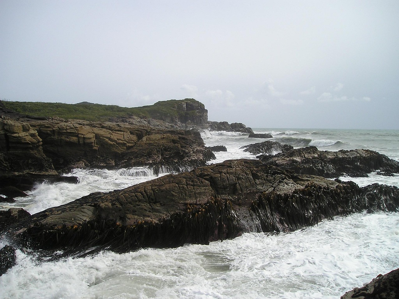 New Zealand Rocky Coast Free Photo On Pixabay new-zealand-rocky-coast-free-photo-on-pixabay
