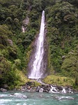 new zealand
