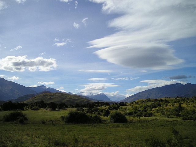 Free New Zealand Nature photo and picture