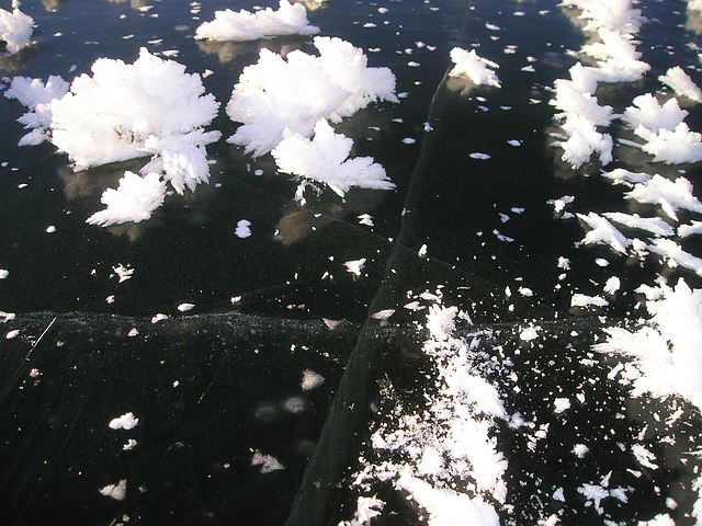 Free Winter Frozen photo and picture