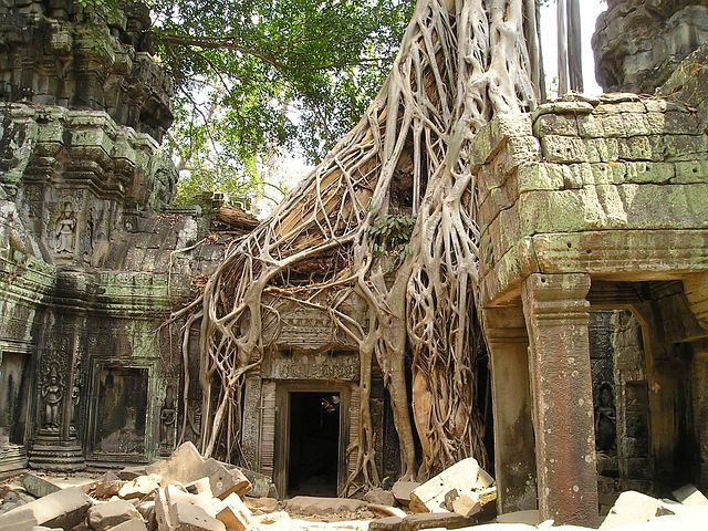 300 Kostenlose Angkor Wat Und Kambodscha Bilder Pixabay