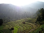nepal
