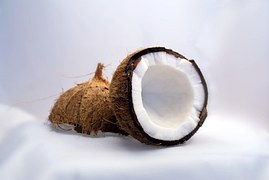 Coconut Tree - Free photo on Pixabay