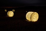 agriculture, bail, bails