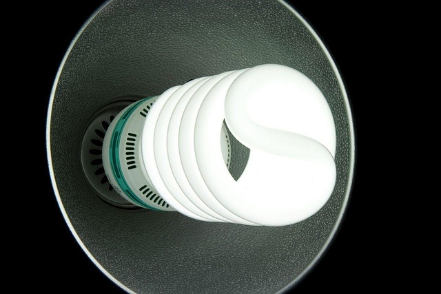 Free Cfl Lamp photo and picture