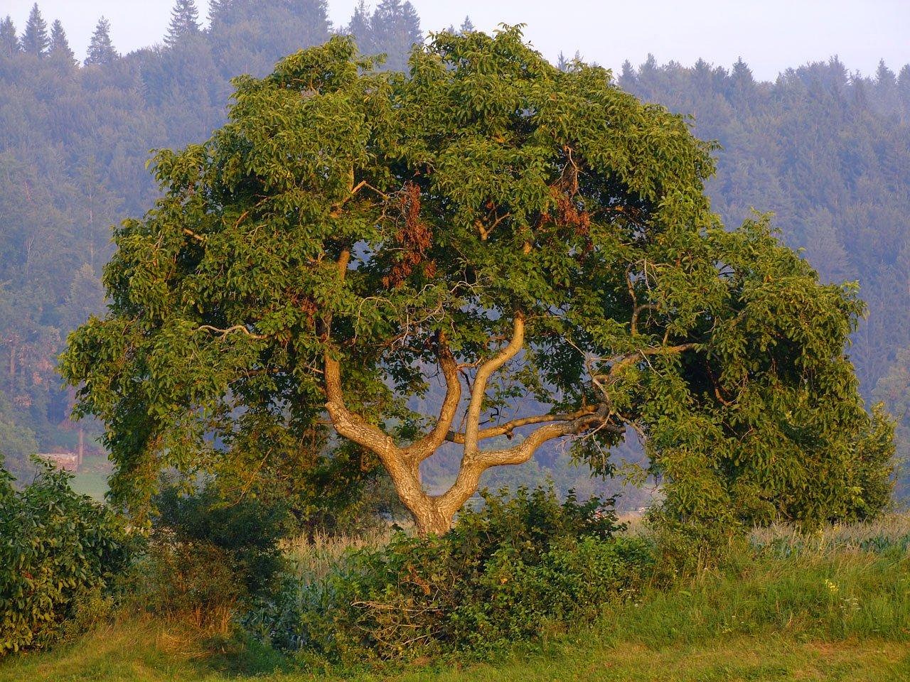 Slovenia - free online jigsaw puzzle photo