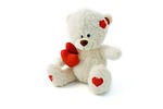 teddy