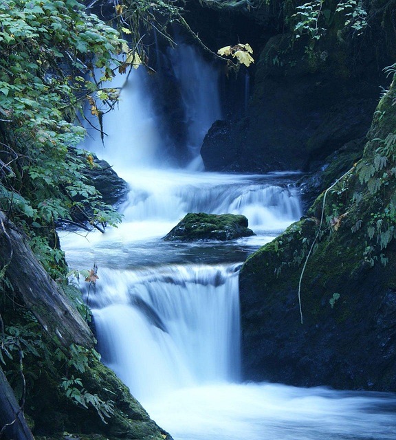 Black And Red >> Free photo: Water, Waterfall, Stream, Fall - Free Image on Pixabay - 1982 Black And Red >> Free photo: Water, Waterfall, Stream, Fall - Free Image on Pixabay - 1982
