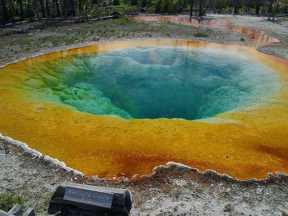 Ilustrasi sumber air panas di Taman Nasional Yellowstone