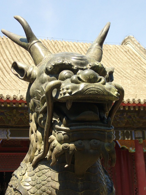 Free China Dragon photo and picture